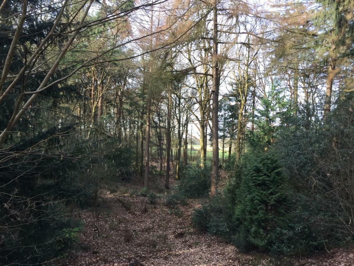 Landgoed De Heezeberg Villa ดีเวอร์ ภายนอก รูปภาพ