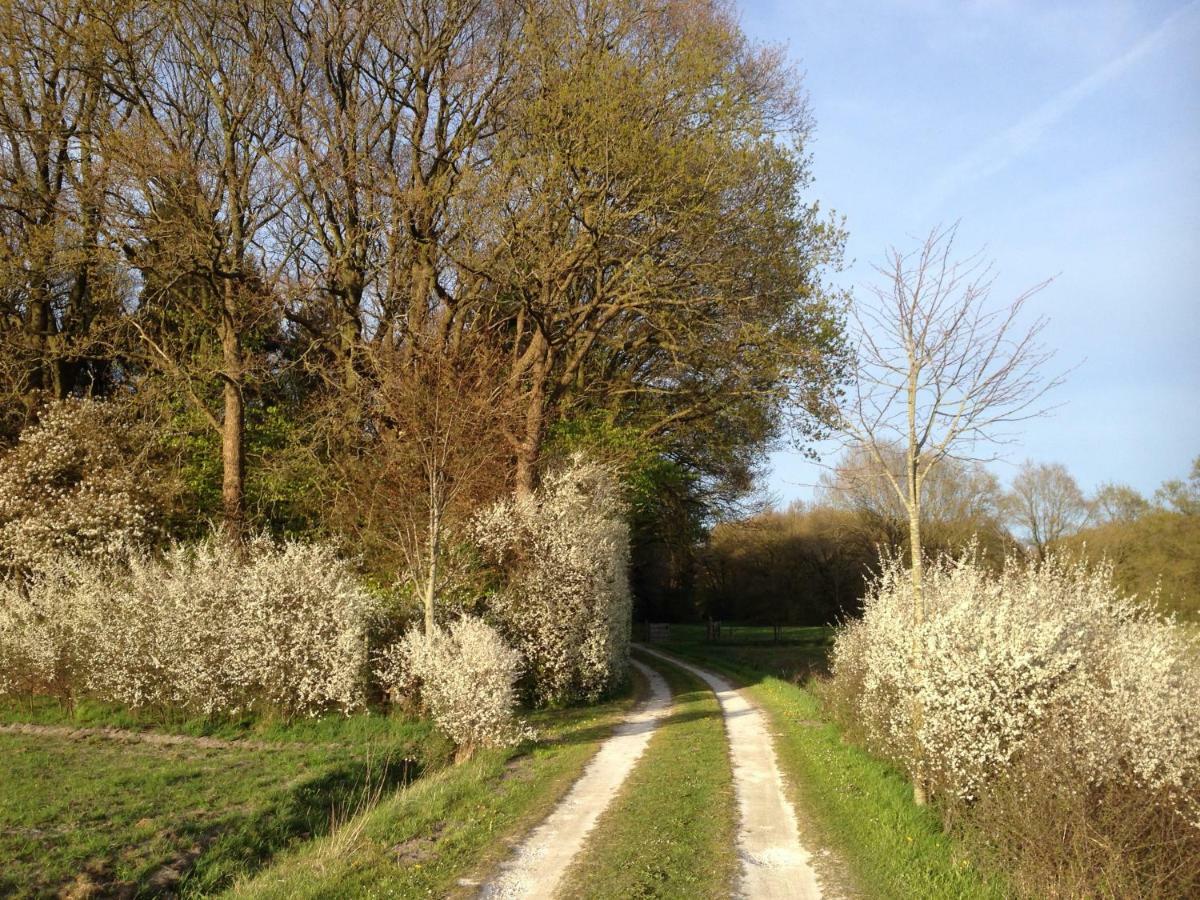 Landgoed De Heezeberg Villa ดีเวอร์ ภายนอก รูปภาพ