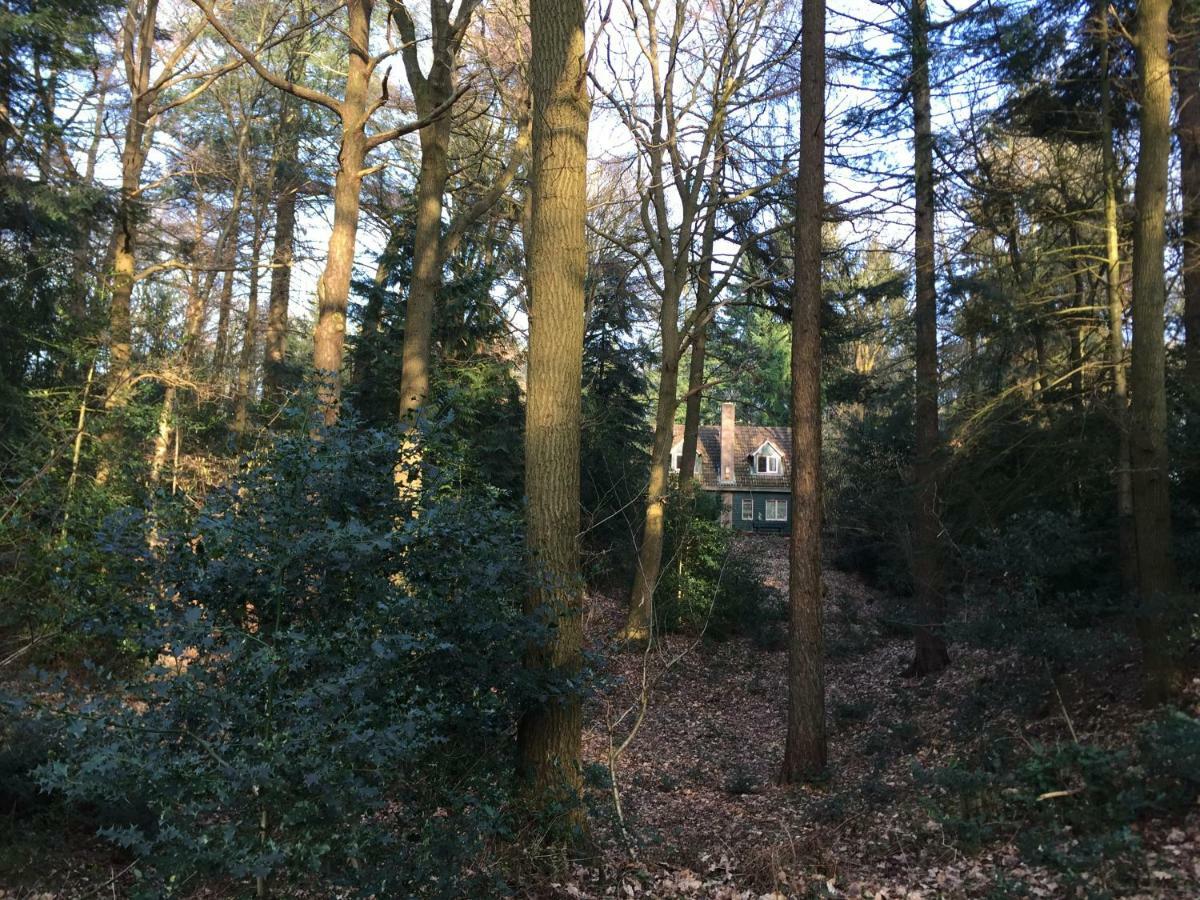 Landgoed De Heezeberg Villa ดีเวอร์ ภายนอก รูปภาพ